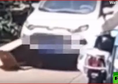 دهس - صورة أرشيفية