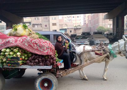 إخلاص بائعة الخضار