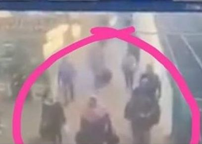 شبيهة