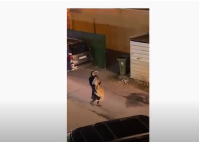 فتاة تسيطر على أسد