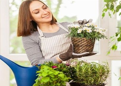 العناية بالنباتات