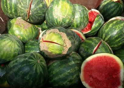 أسباب الإصابة بحساسية البطيخ