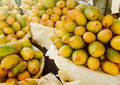 المانجو العويس في الأسواق- صورة تعبيرية