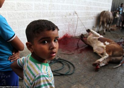 صورة ارشيفية