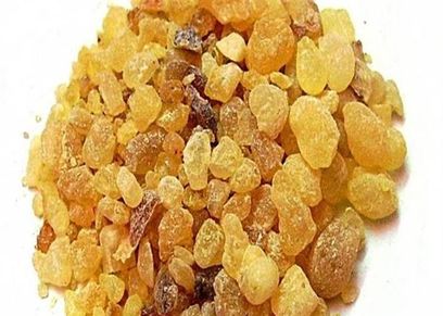 ضرار لبان الدكر على الكلى