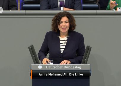 المحامية أميرة محمد على