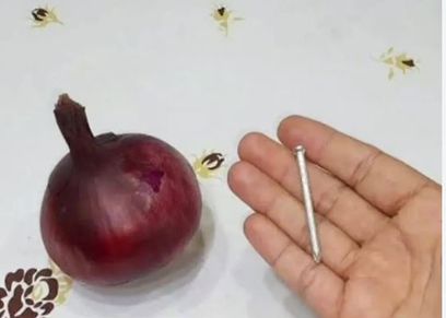 ببصلة ومسمار وداعا للصراصير