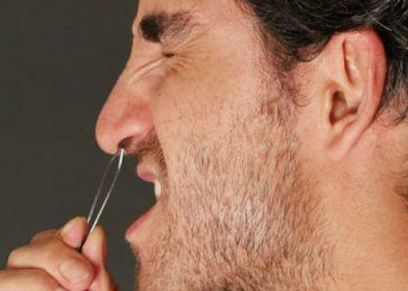 شعر الأنف