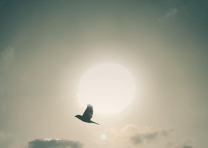 ليلة القدر 29 رمضان