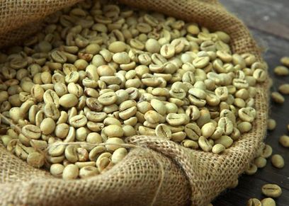 فوائد القهوة الخضراء لفقدان الوزن