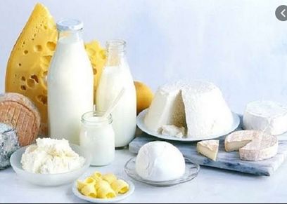 منتجات الألبان