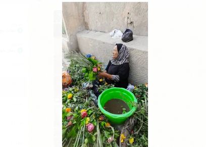 بائعات الورد في المقابر