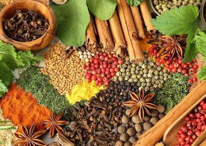 استخدام التوابل والأعشاب في المطبخ