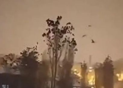 حركة غريبة للطيور قبل زلزال تركيا