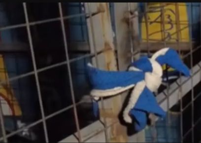 القفص