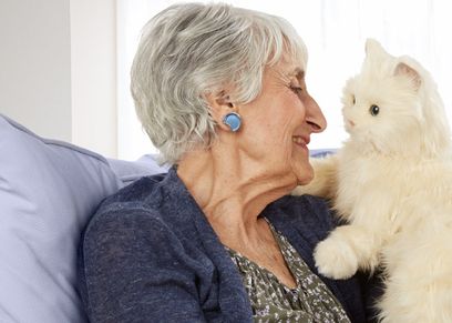 تربية الحيوانات