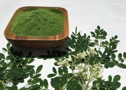 فوائد عشبة المورينجا