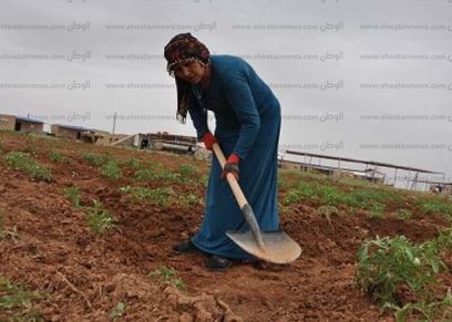 سهام علي