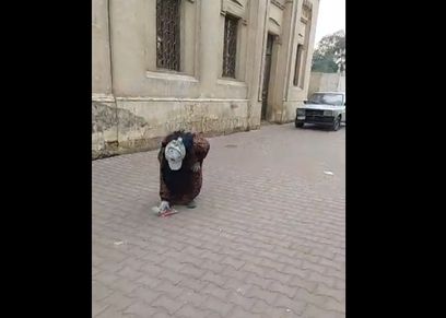 أم محمد جامعة القمامة