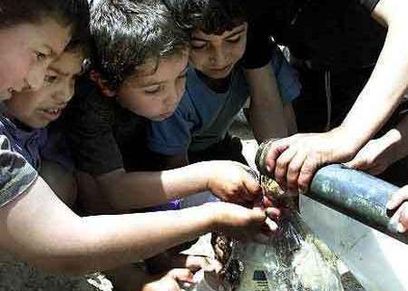 صورة أرشيفية