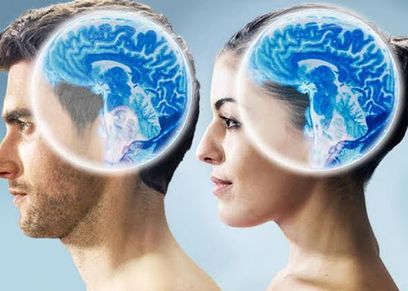 دماغ المرأة والرجل