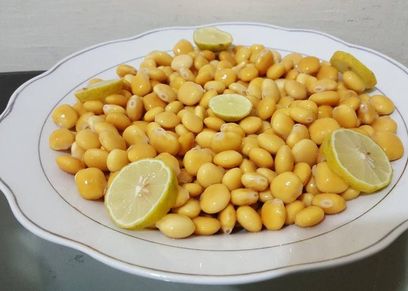 الترمس السريع