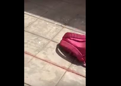 ثعبان يختبأ بحقيبة طالبة