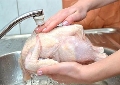 استشارى تغذية توضح الطرق الصحية لتعقيم الدجاج