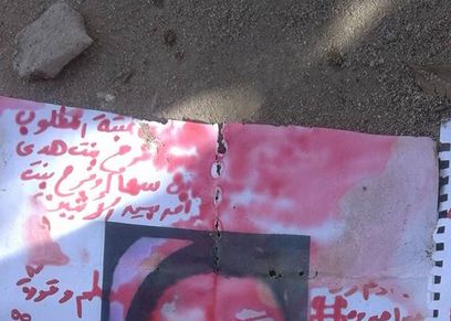 الصورة المنشورة