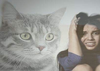 أعراض الإصابة بفوبيا القطط