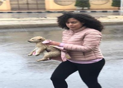فتاة تنقذ كلاب صغيرة من الغرق بسبب الأمطار