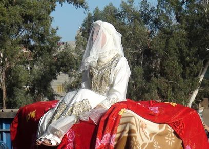 عروسة راكبة جمل