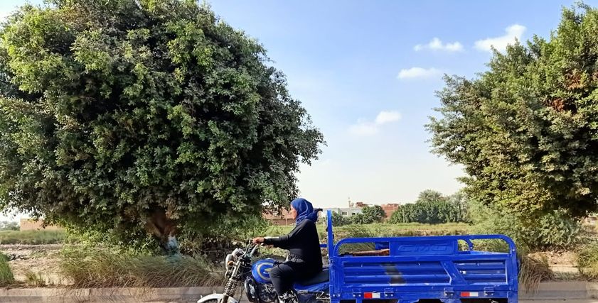 سهير- بائعة الخضار على التروسيكل