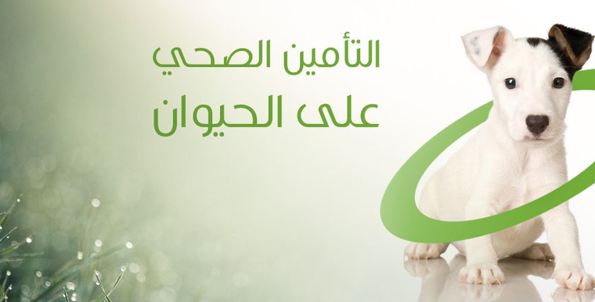 صورة الإعلان