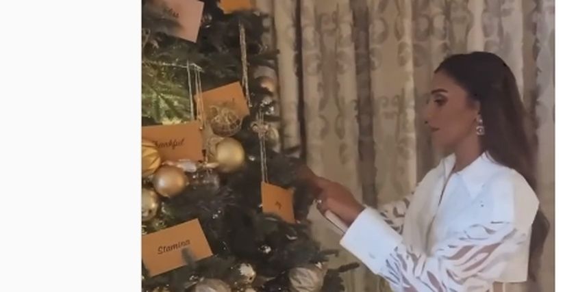 أمنيات دينا الشربيني للعام الجديد