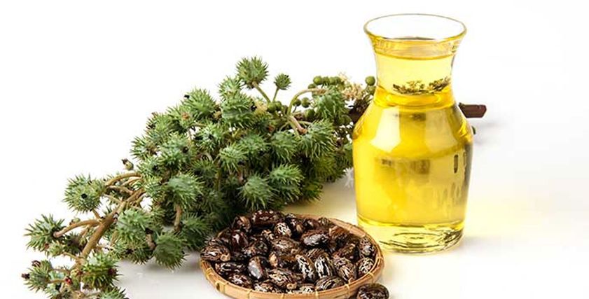 فوائد زيت الخروع