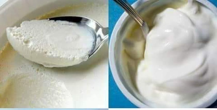 طريقة عمل الزبادي في ماكينة الزبادي