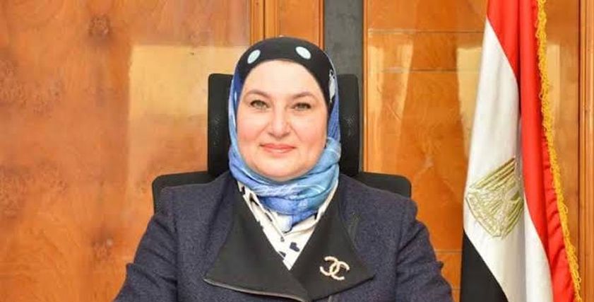 ميرفت سلطان رئيس مجلس إدارة البنك المصري لتنمية الصادارات