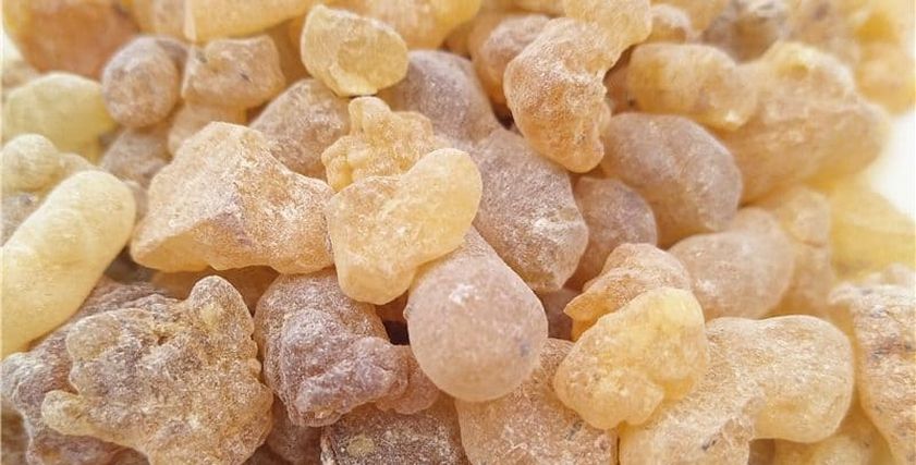 لبان الذكر للتنحيف في أسبوع - تعبيرية