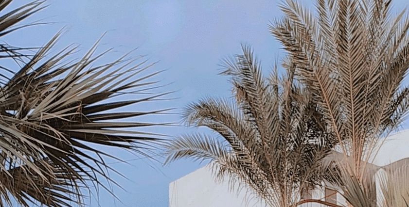 نور متفوقة دراسيا ولديها مشروع لصناعة المشغولات اليدوية