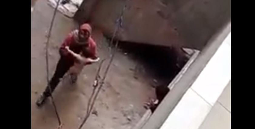 تجريد طفلة من ملابسها في الدقهلية