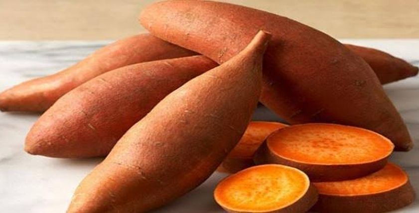 البطاطا