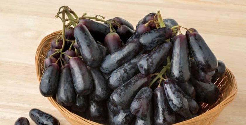 عنب سويت سفير أو الياقوت