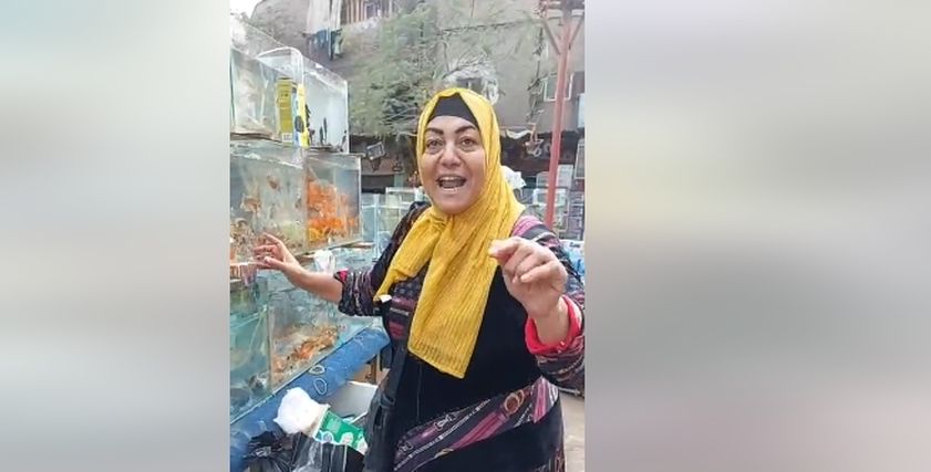 المعلمة حنان كينج فيش