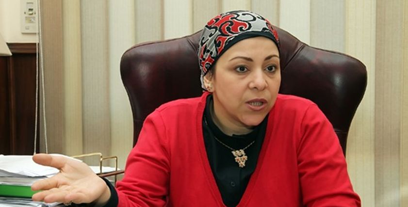 نهاد أبو القمصان، رئيس المركز المجلس المصري لحقوق المرأة
