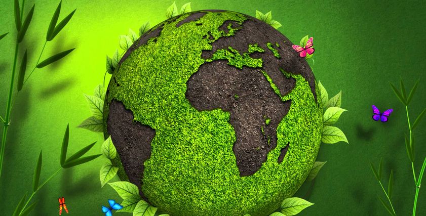 أكثر 15 مدينة امتلاكا للأشجار وعلى رأسهم الولايات المتحدة