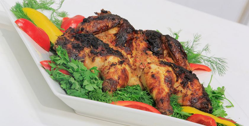 الدجاج
