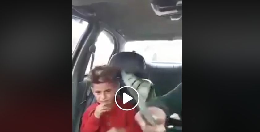 بالفيديو|