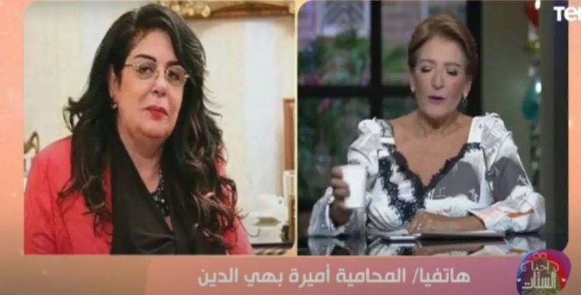 أميرة بهي الدين، المحامية
