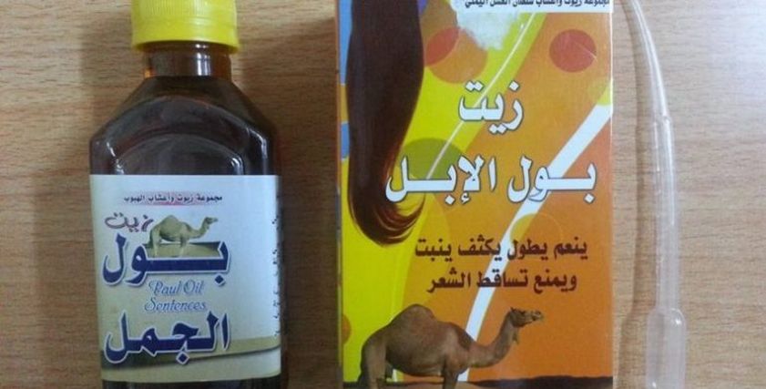 زيت بول الإبل